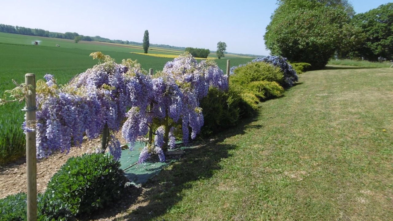 Photo of Others in Pourlans