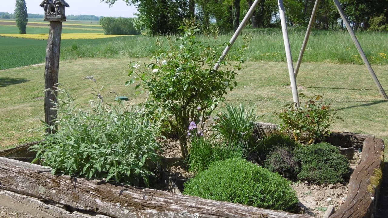 Photo of Outdoor in Pourlans