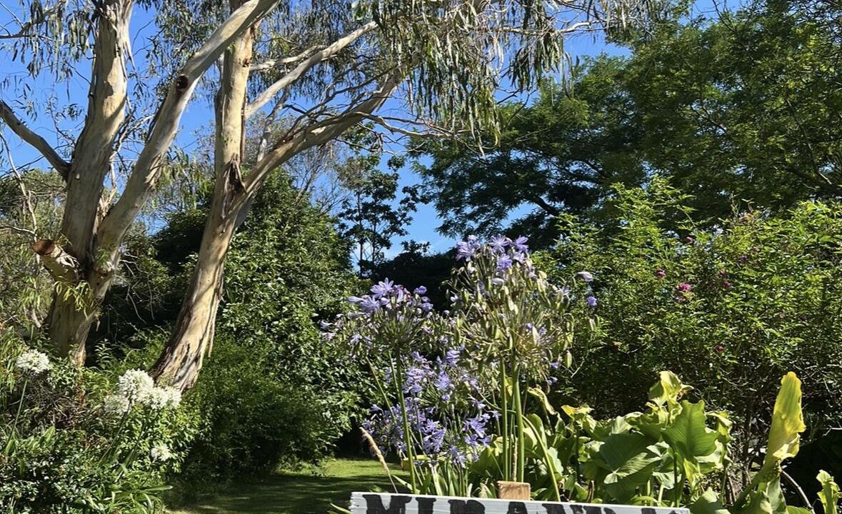 Photo of Outdoor in Toora