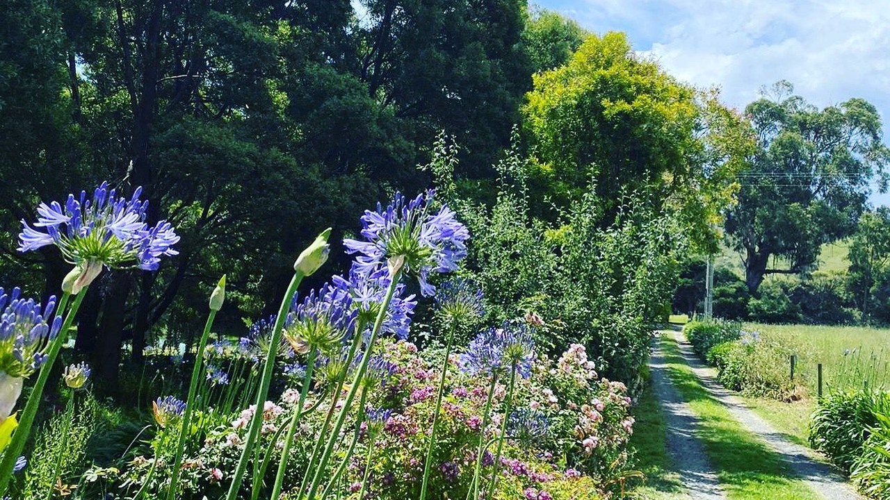 Photo of Others in Toora