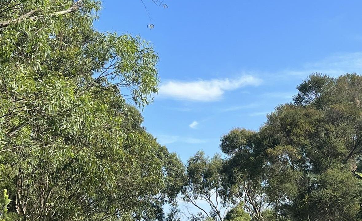 Photo of Others in Toora