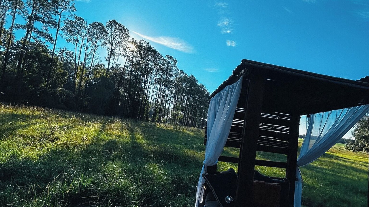 Photo of Outdoor in Dade City