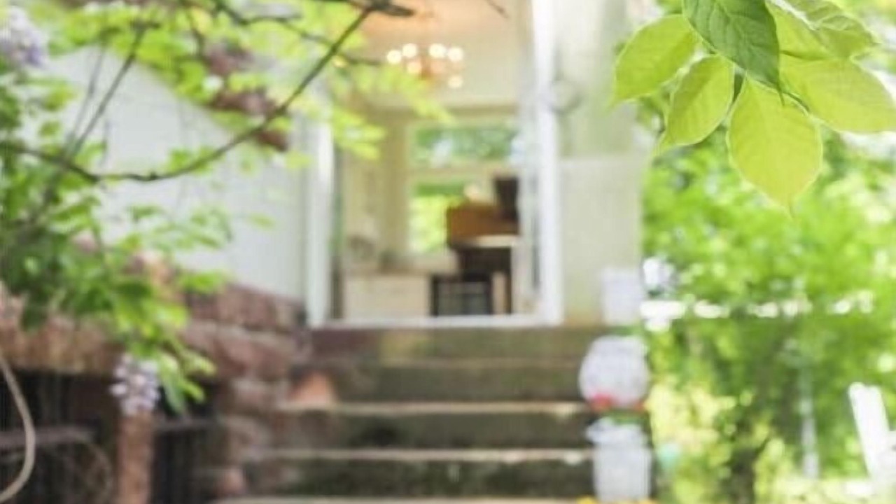 Photo of Outdoor in Wissembourg