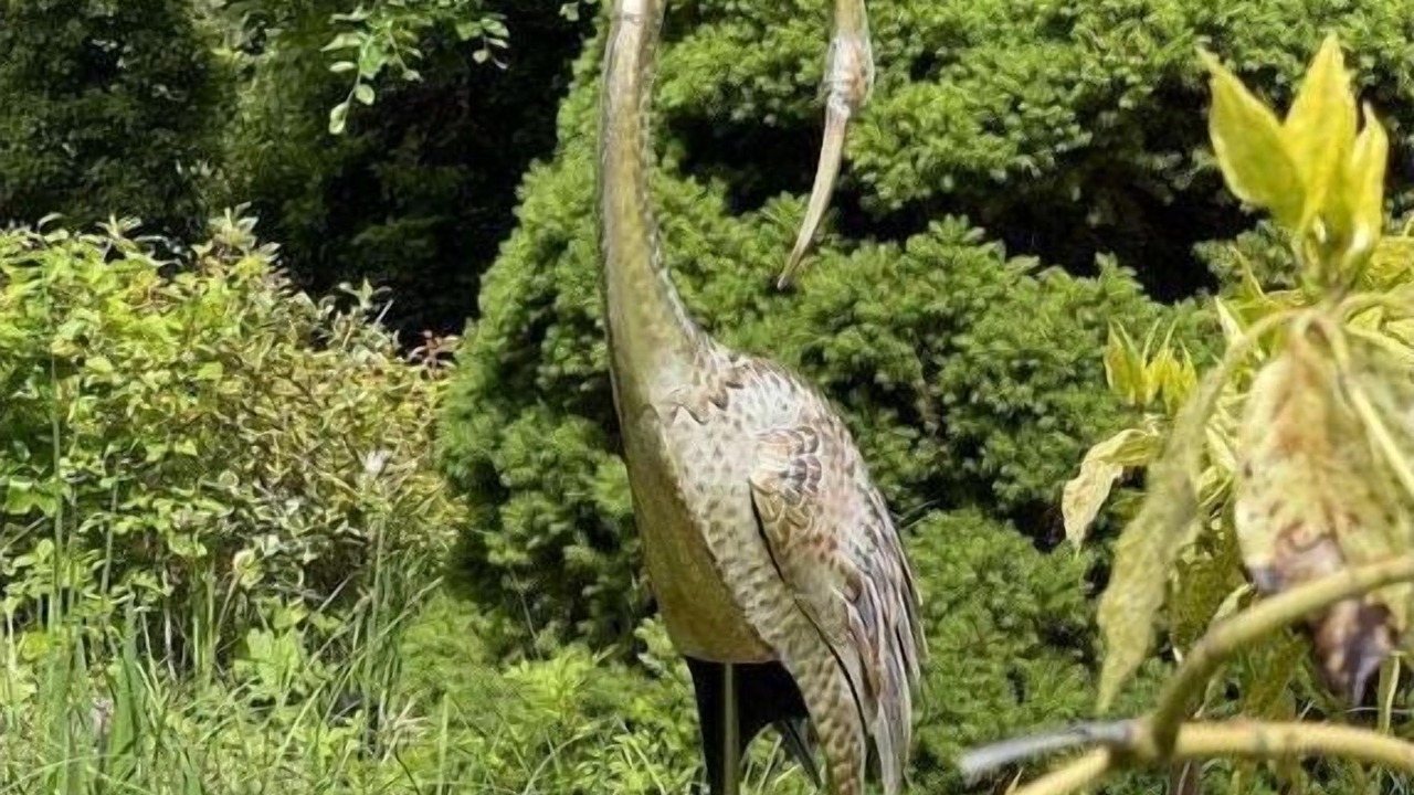 Photo of Outdoor in Wissembourg