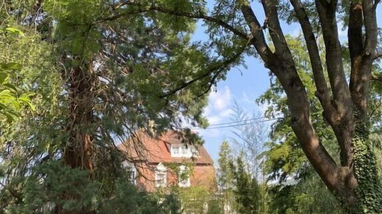 Photo of Outdoor in Wissembourg