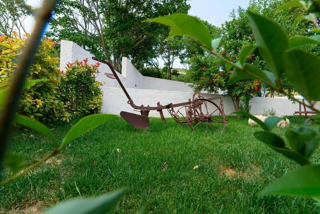 Photo of Outdoor in Lisane Ostrovicke