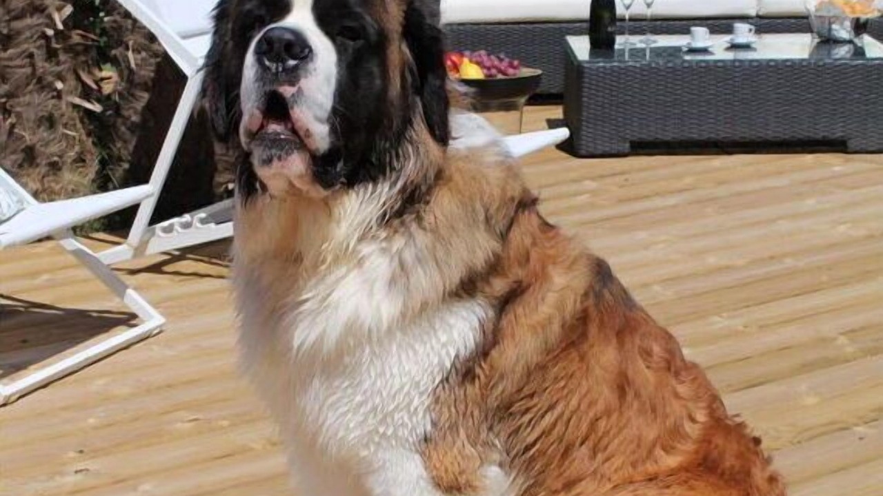 Photo of Outdoor in Guisseny