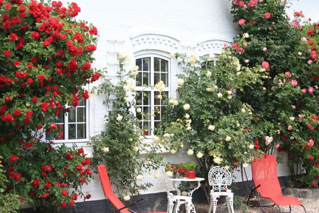 Photo of Patio Balcony in Broager