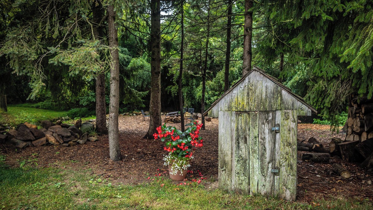 Photo of Outdoor in Suplee