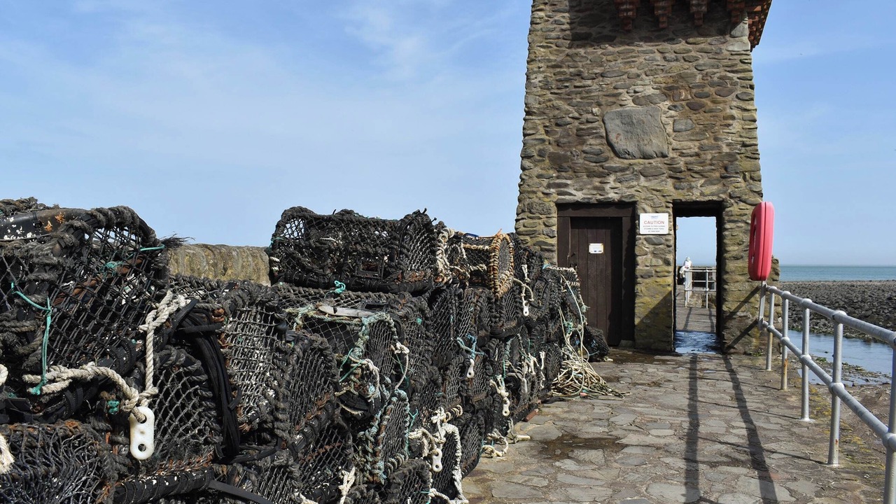 Photo of Others in Lynmouth