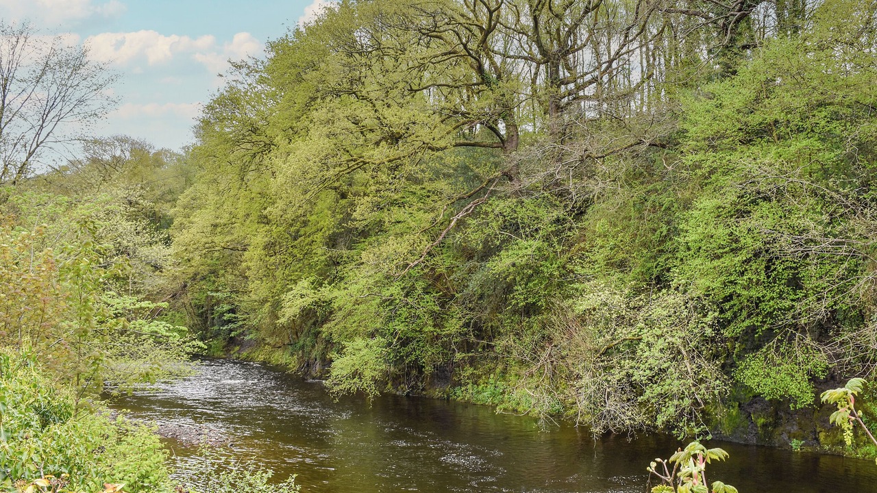 Photo of Others in Ystradgynlais