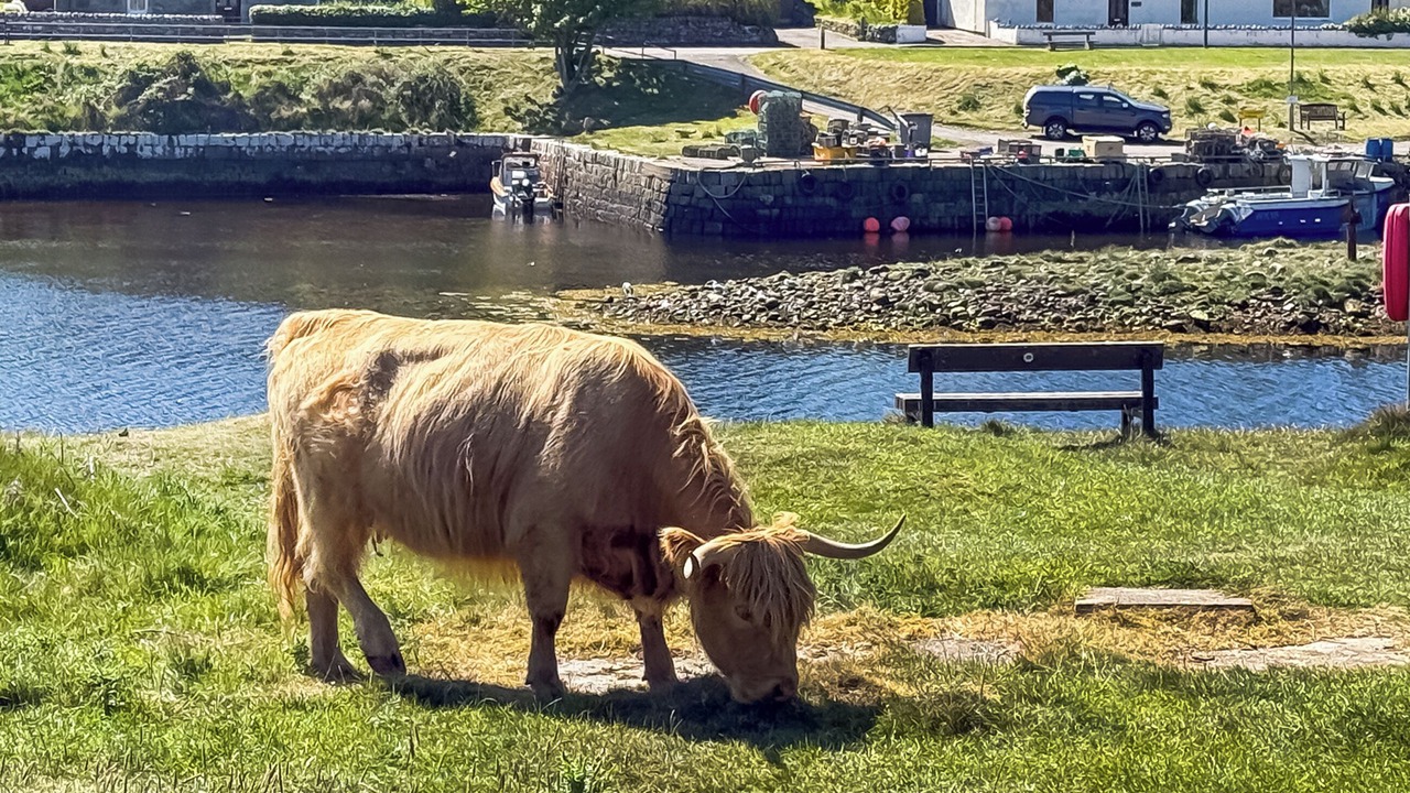 Photo of Others in Brora