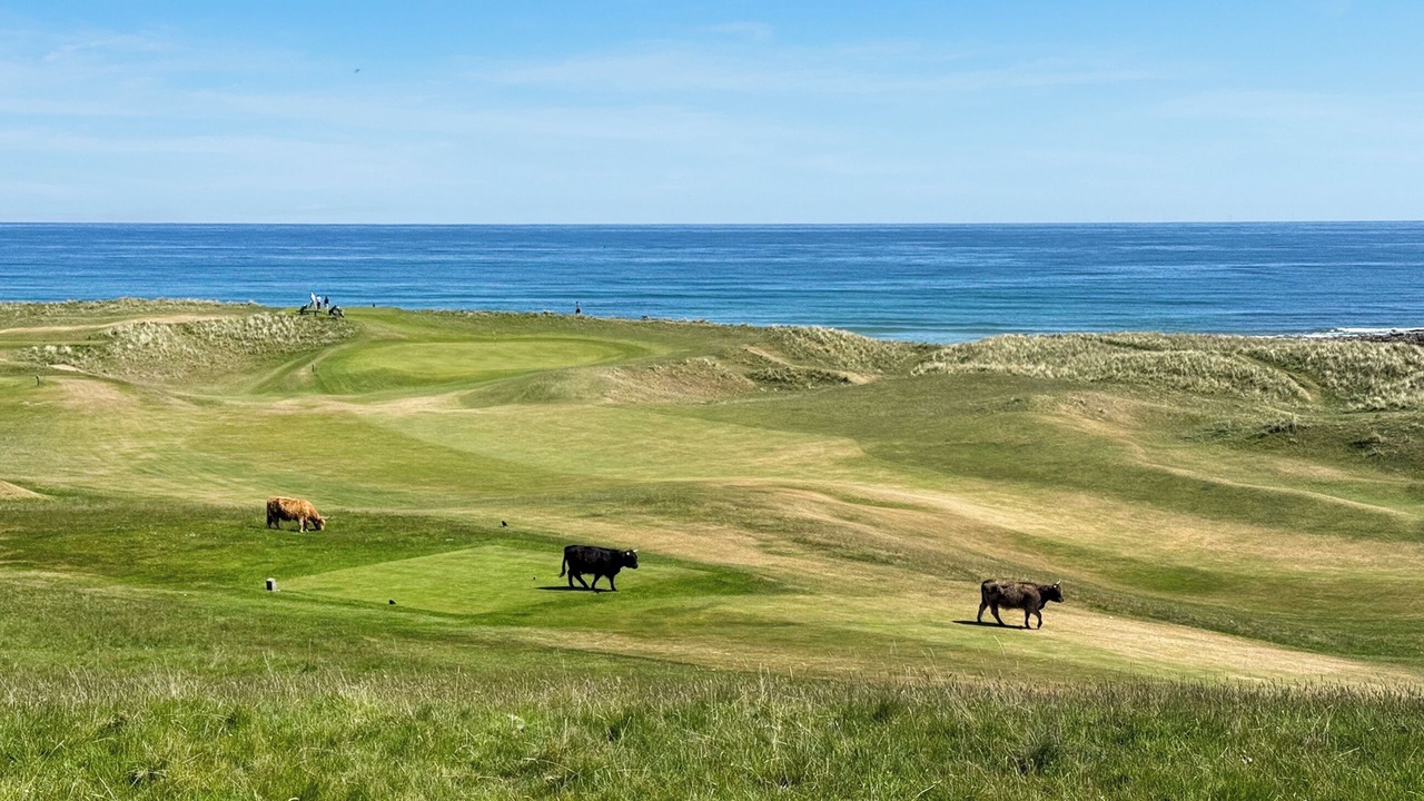 Photo of Others in Brora