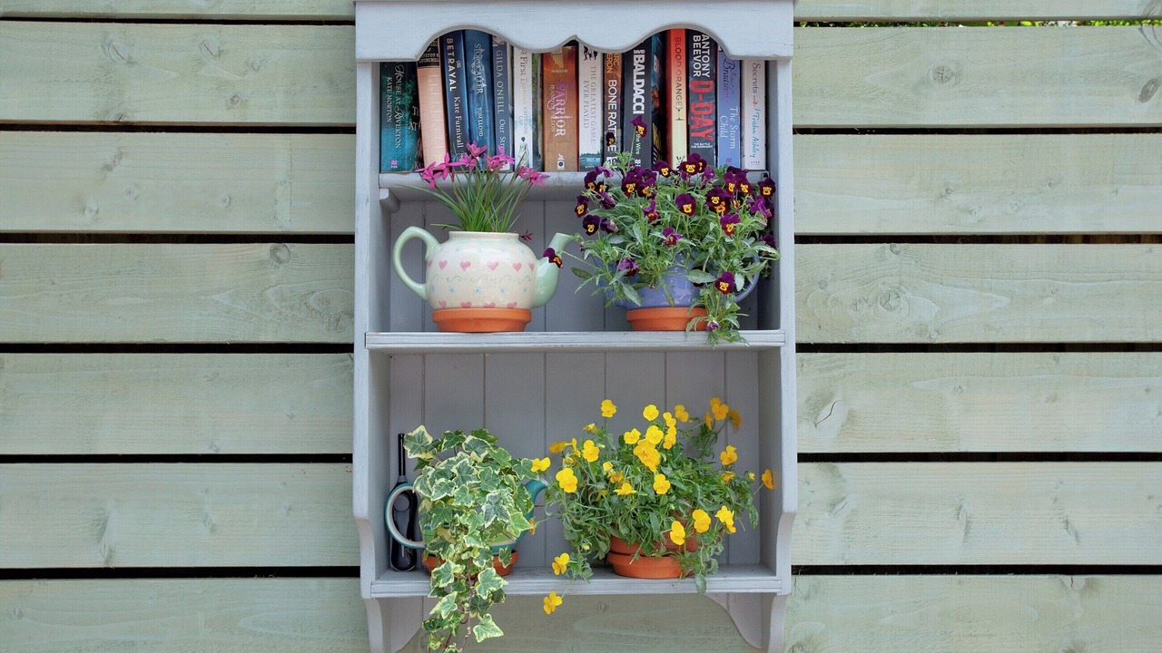 Photo of Outdoor in Honiton