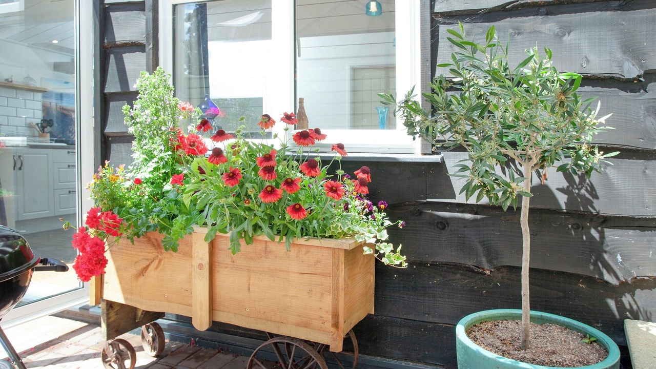 Photo of Outdoor in Honiton