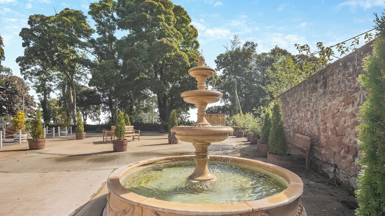 Photo of Outdoor in Felton