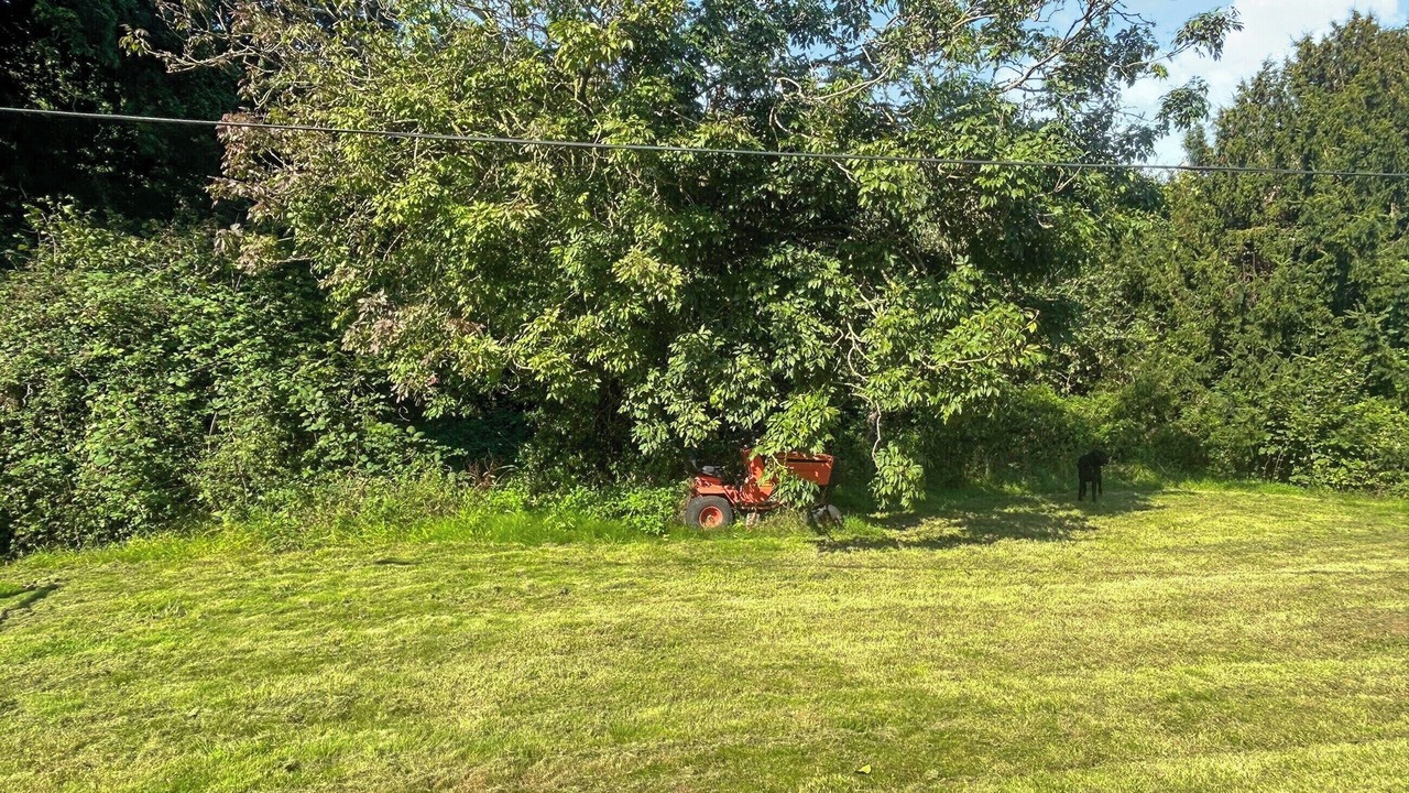 Photo of Outdoor in Clyst Saint George