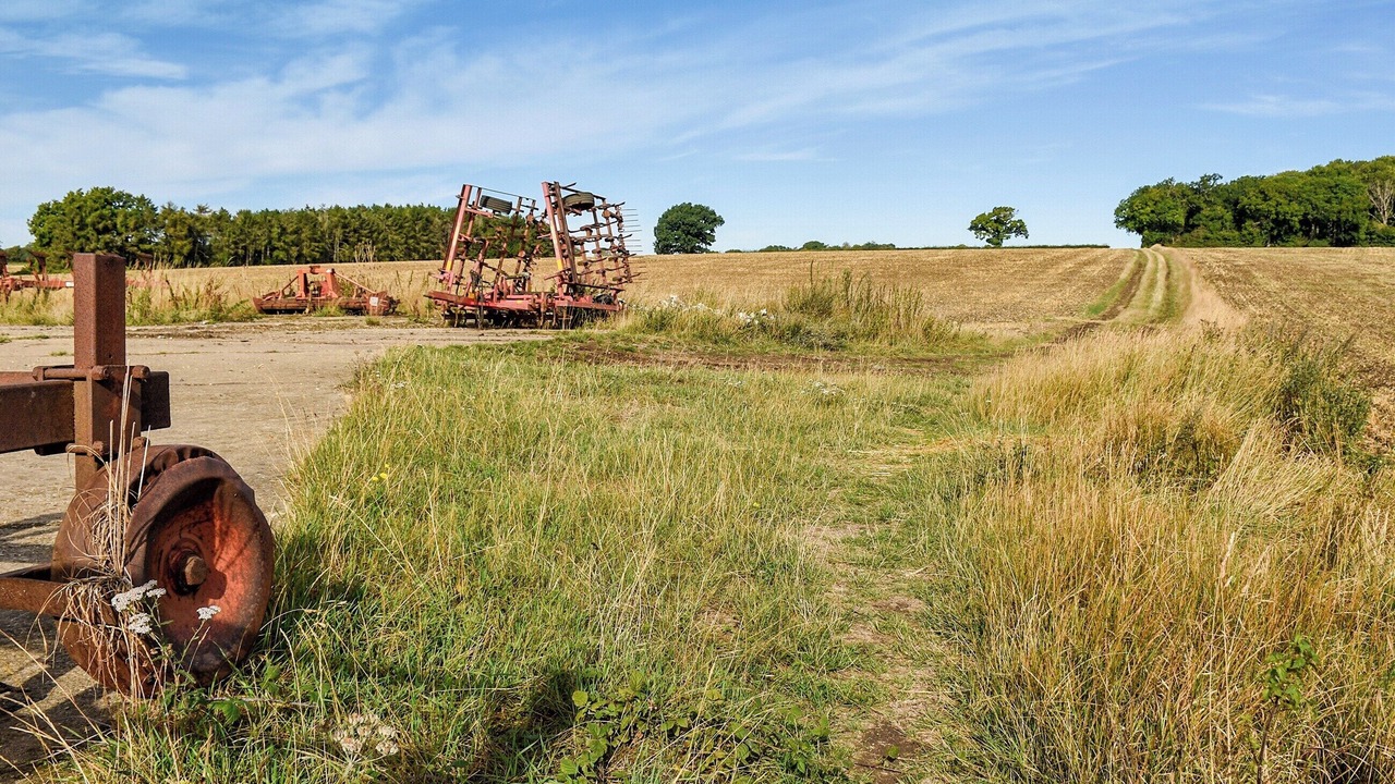 Photo of Others in Great Hormead