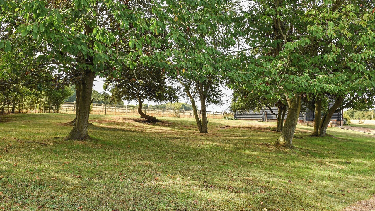 Photo of Outdoor in Great Hormead