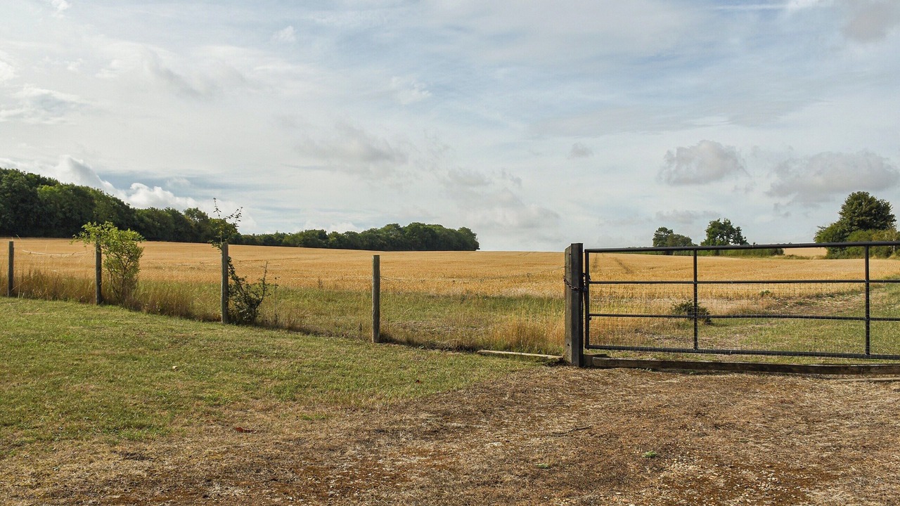 Photo of Outdoor in Great Hormead