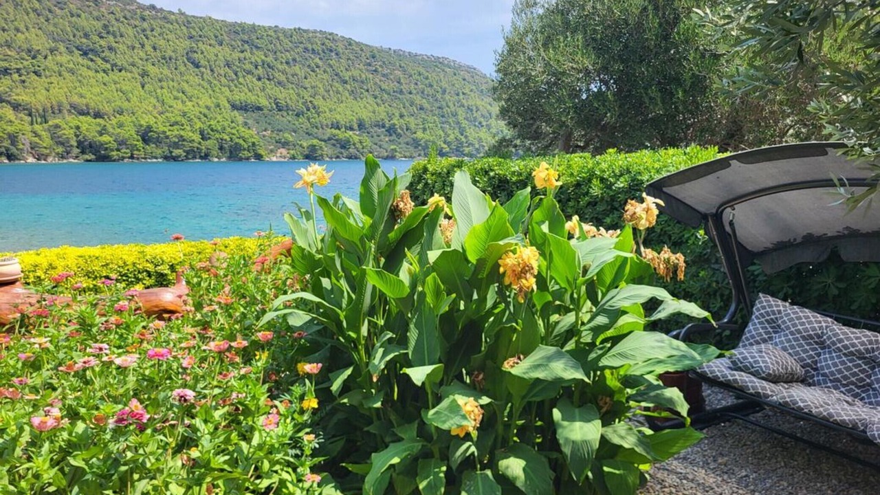 Photo of Outdoor in Broce