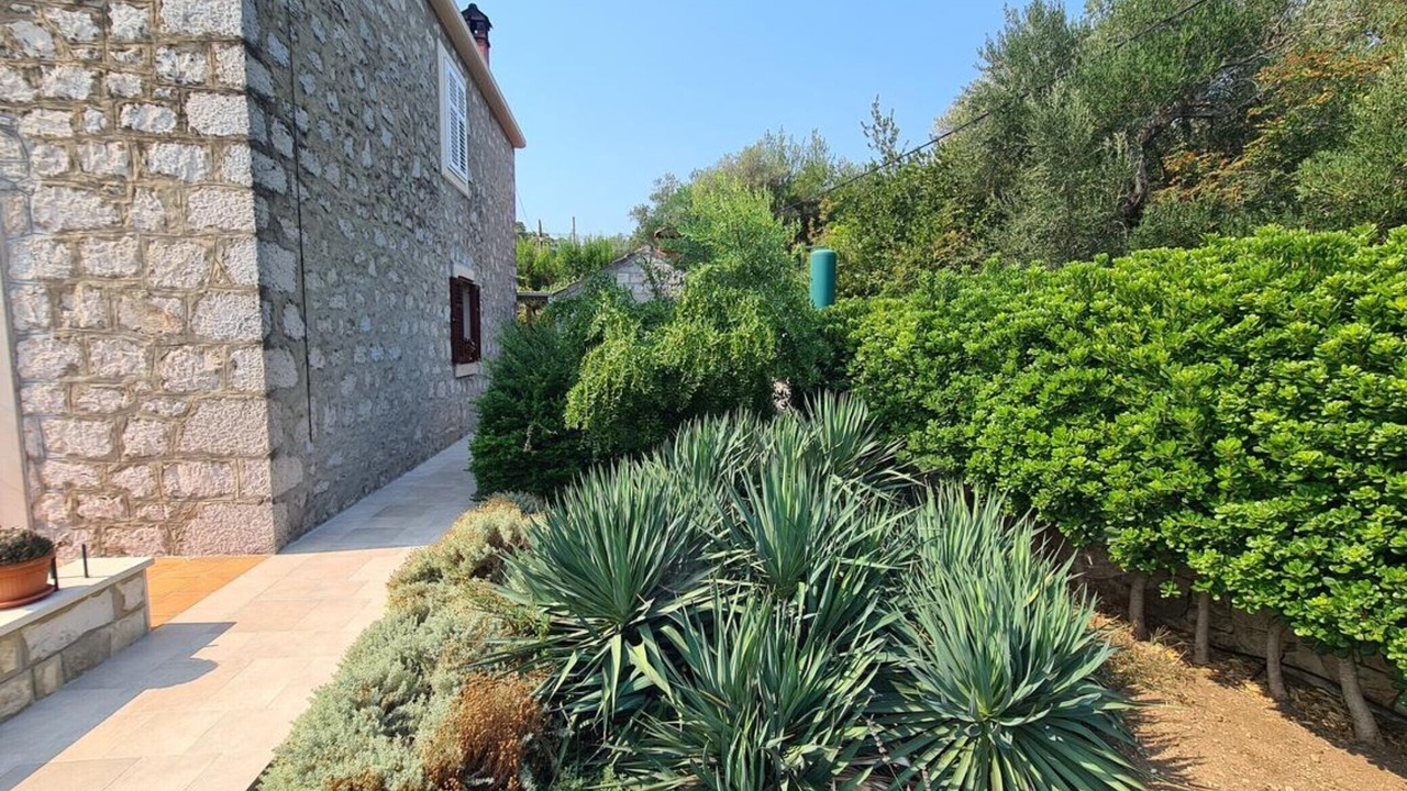 Photo of Outdoor in Broce