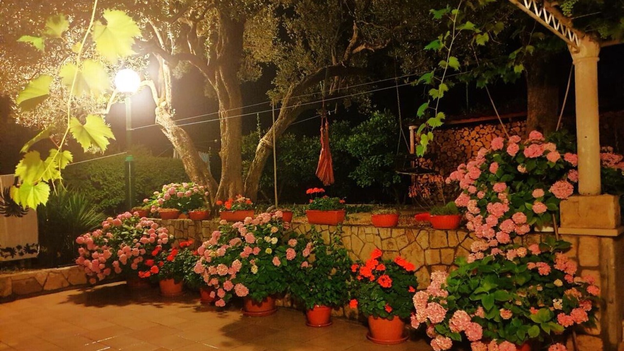 Photo of Outdoor in Broce