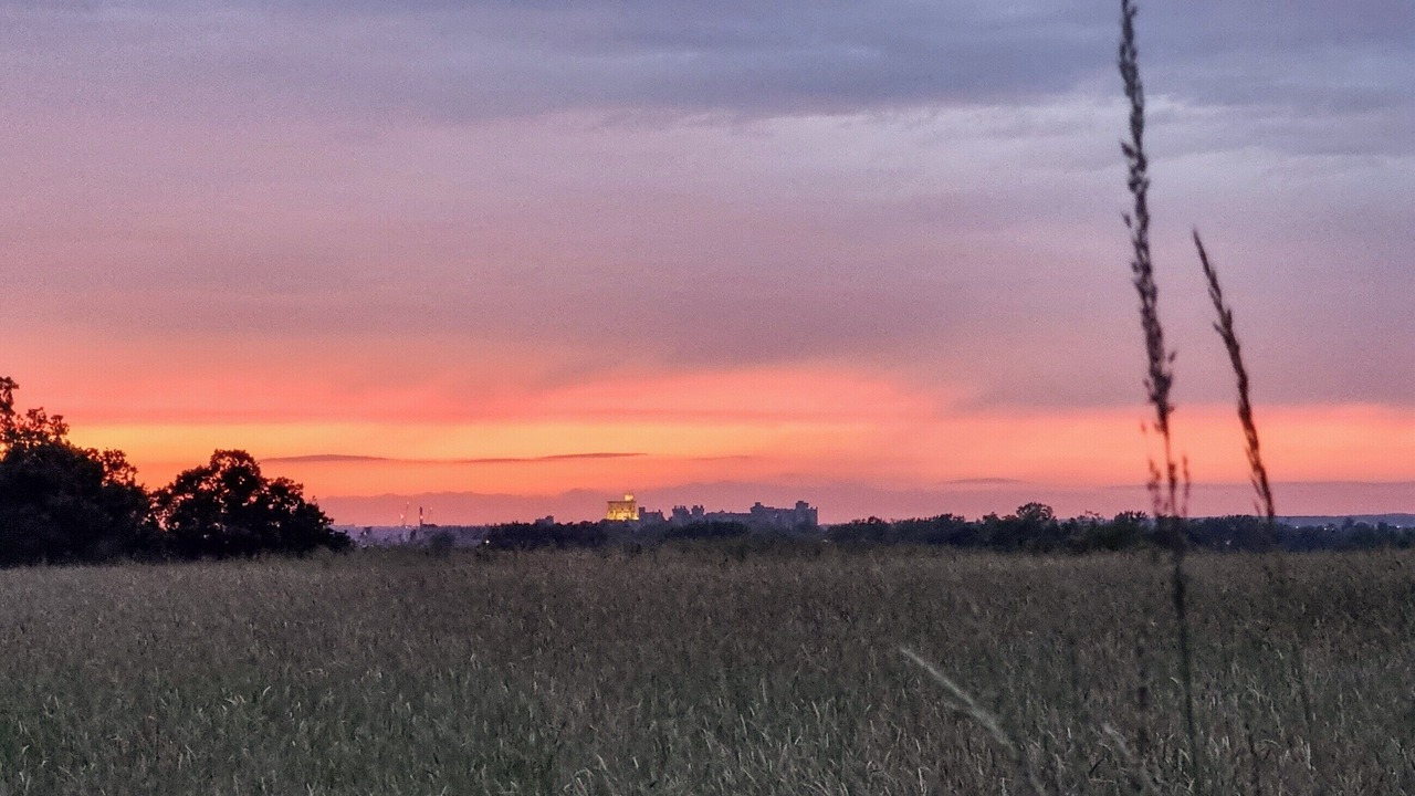 Photo of Others in Windsor