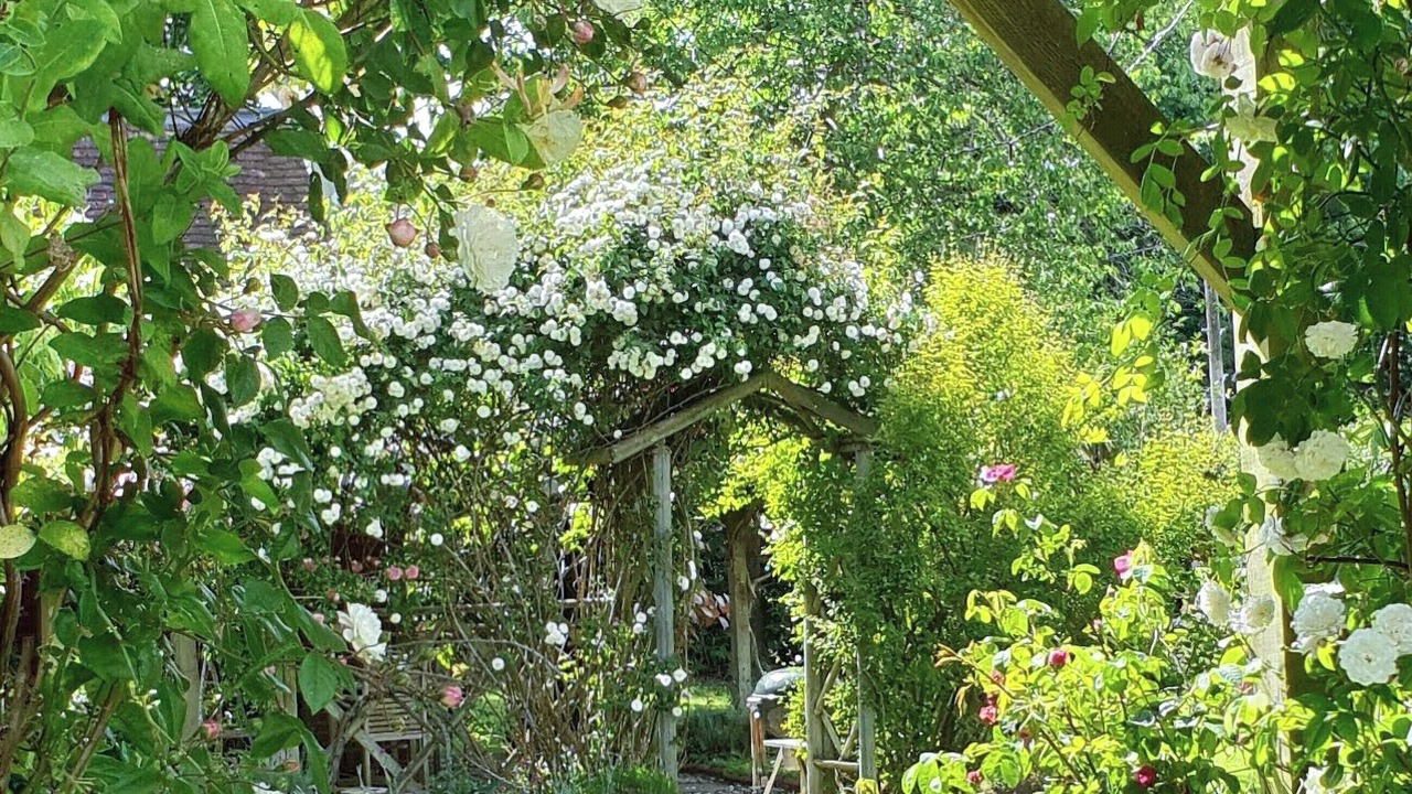 Photo of Outdoor in Windsor