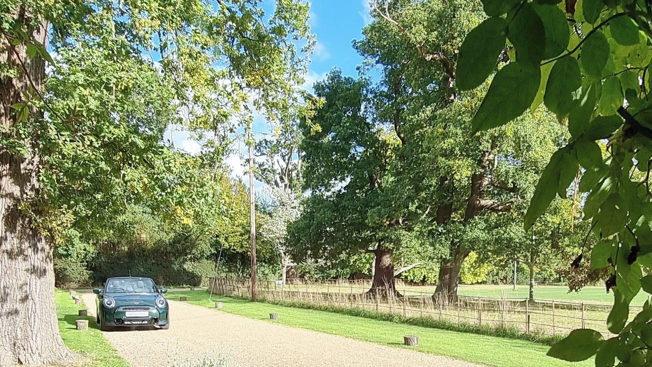 Photo of Others in Windsor