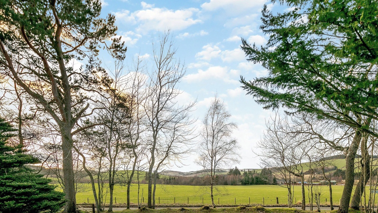 Photo of Others in Huntly