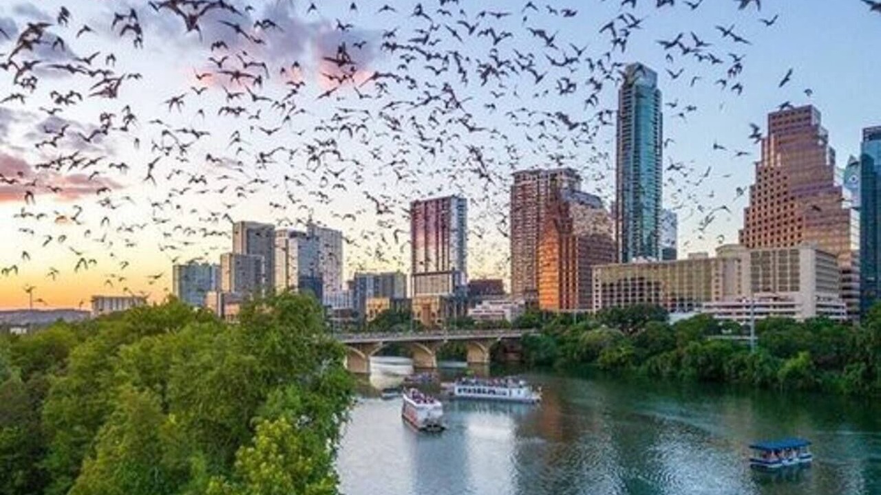 Photo of Others in Waller Creek District