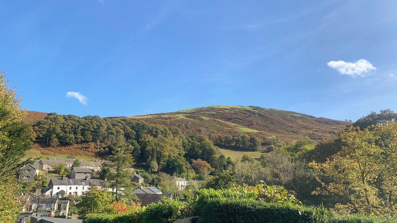 Photo of Others in Machynlleth