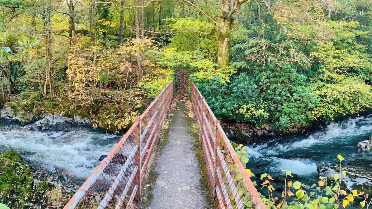 Photo of Others in Machynlleth