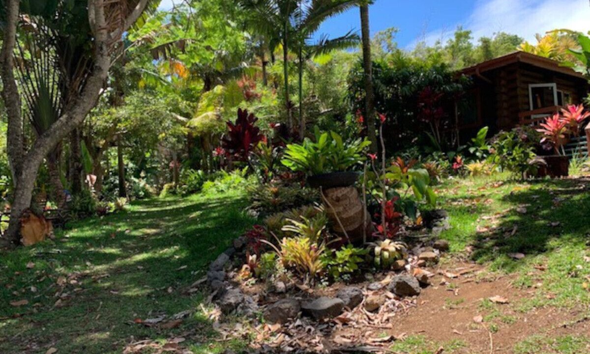 Photo of Outdoor in Kukuihaele