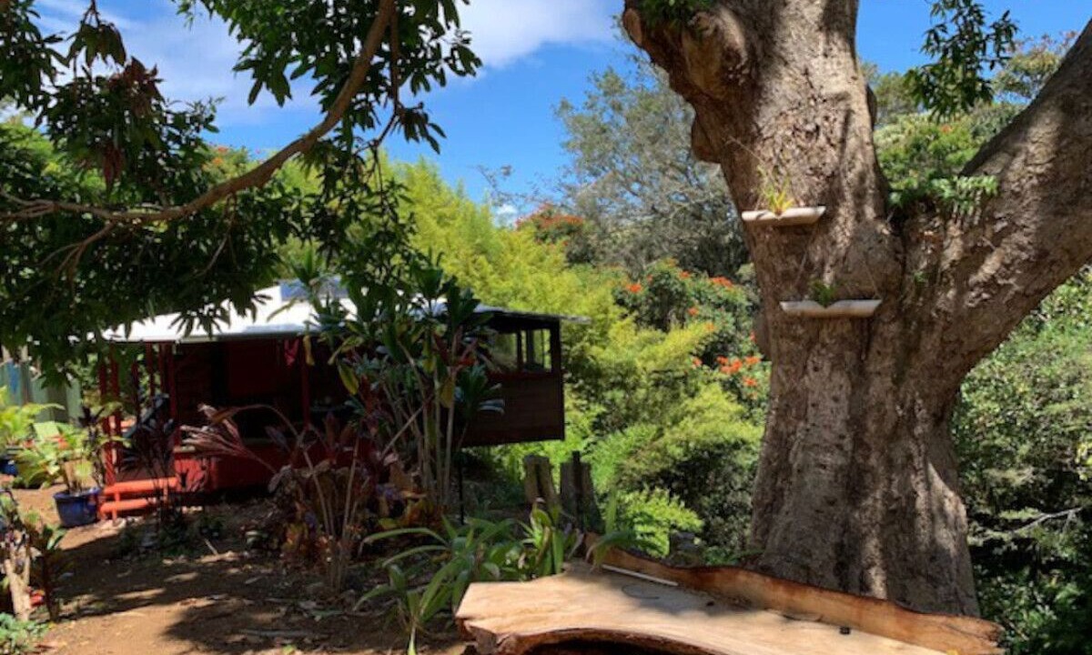 Photo of Outdoor in Kukuihaele