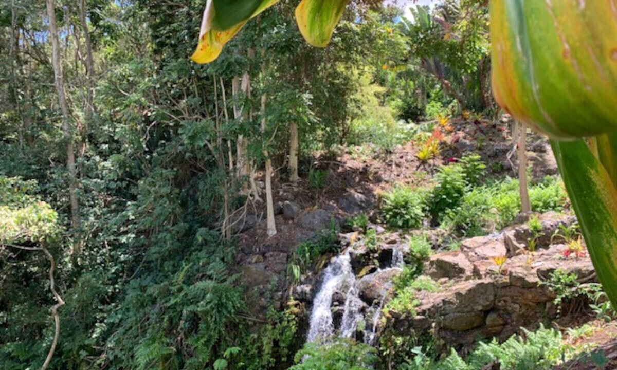 Photo of Others in Kukuihaele