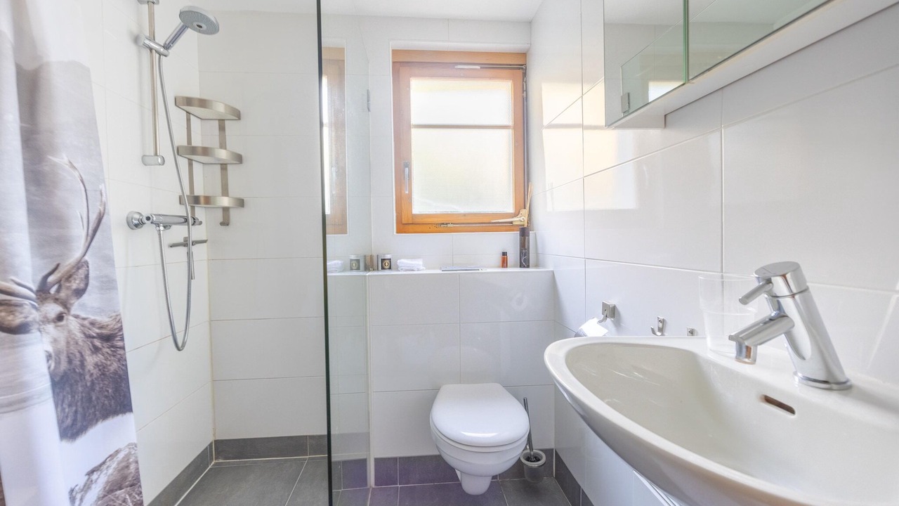 Photo of Bathroom in Fiesch