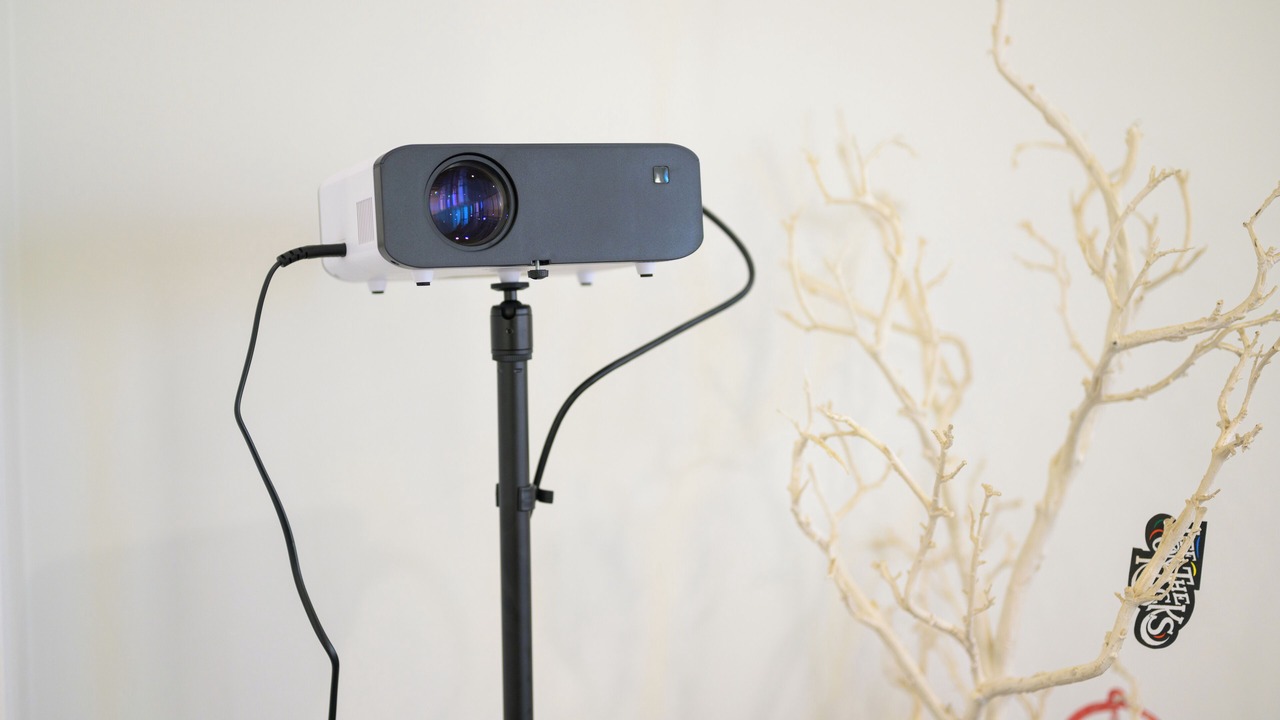 Photo of Others in Lidcombe