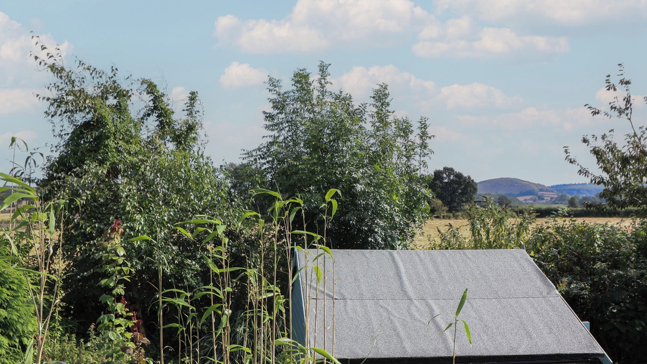 Photo of Outdoor in Chapmanslade