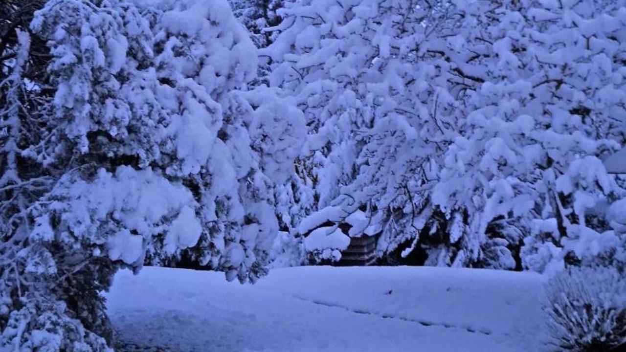 Photo of Outdoor in La Coulonche