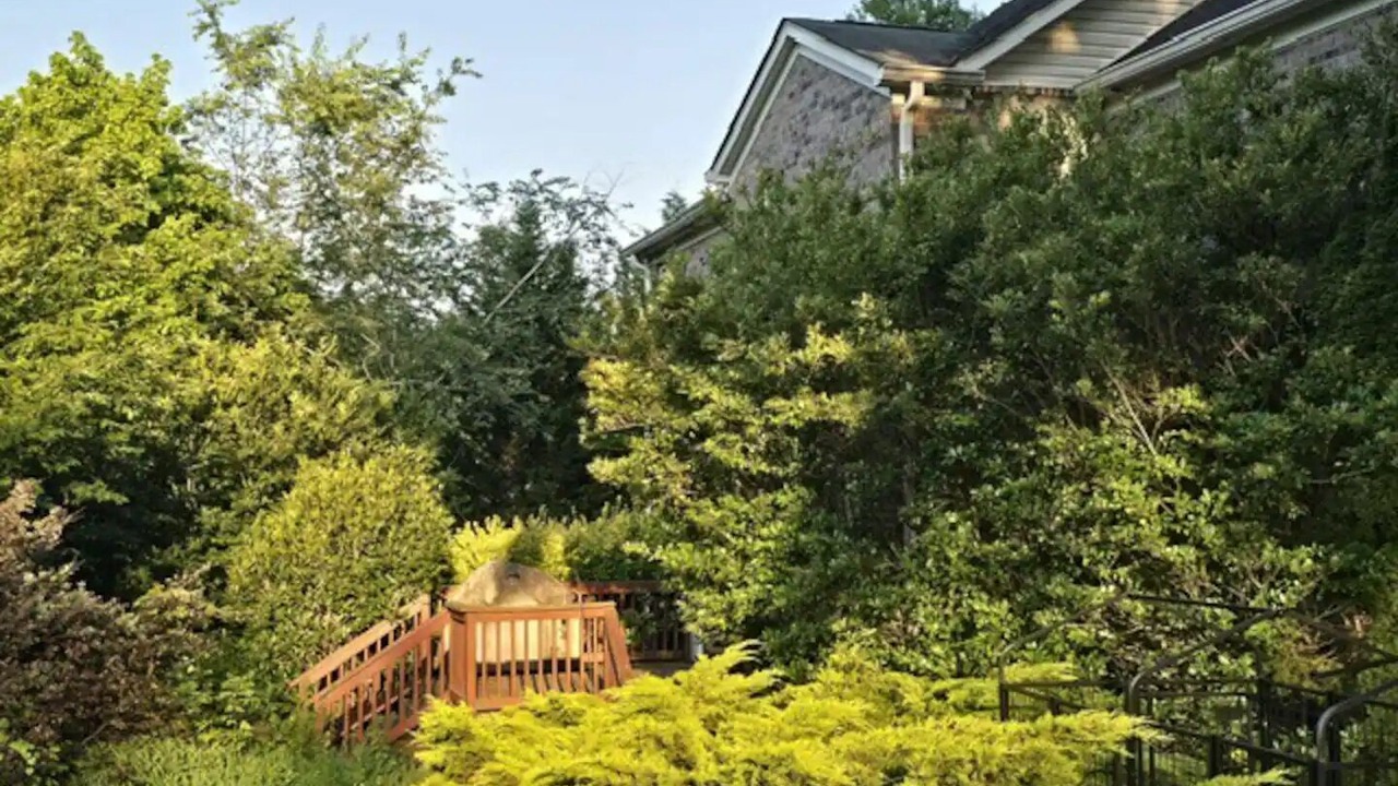 Photo of Outdoor in Mint Hill
