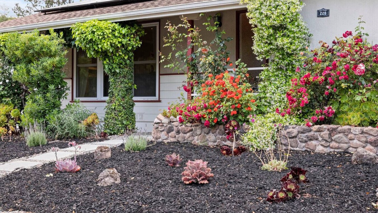 Photo of Outdoor in San Rafael