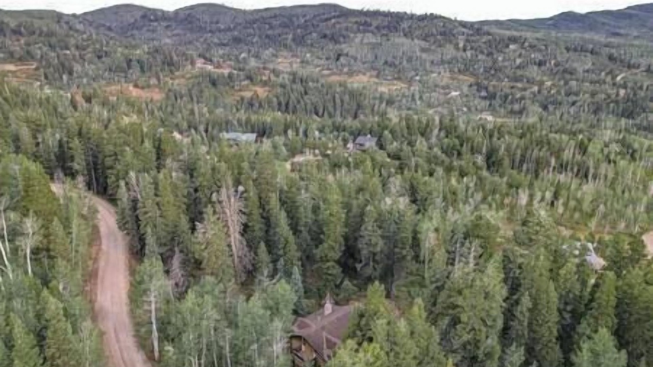 Photo of Others in Tollgate Canyon