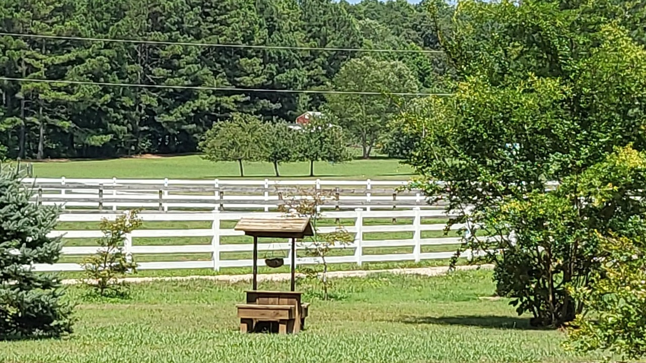 Photo of Outdoor in Petersburg