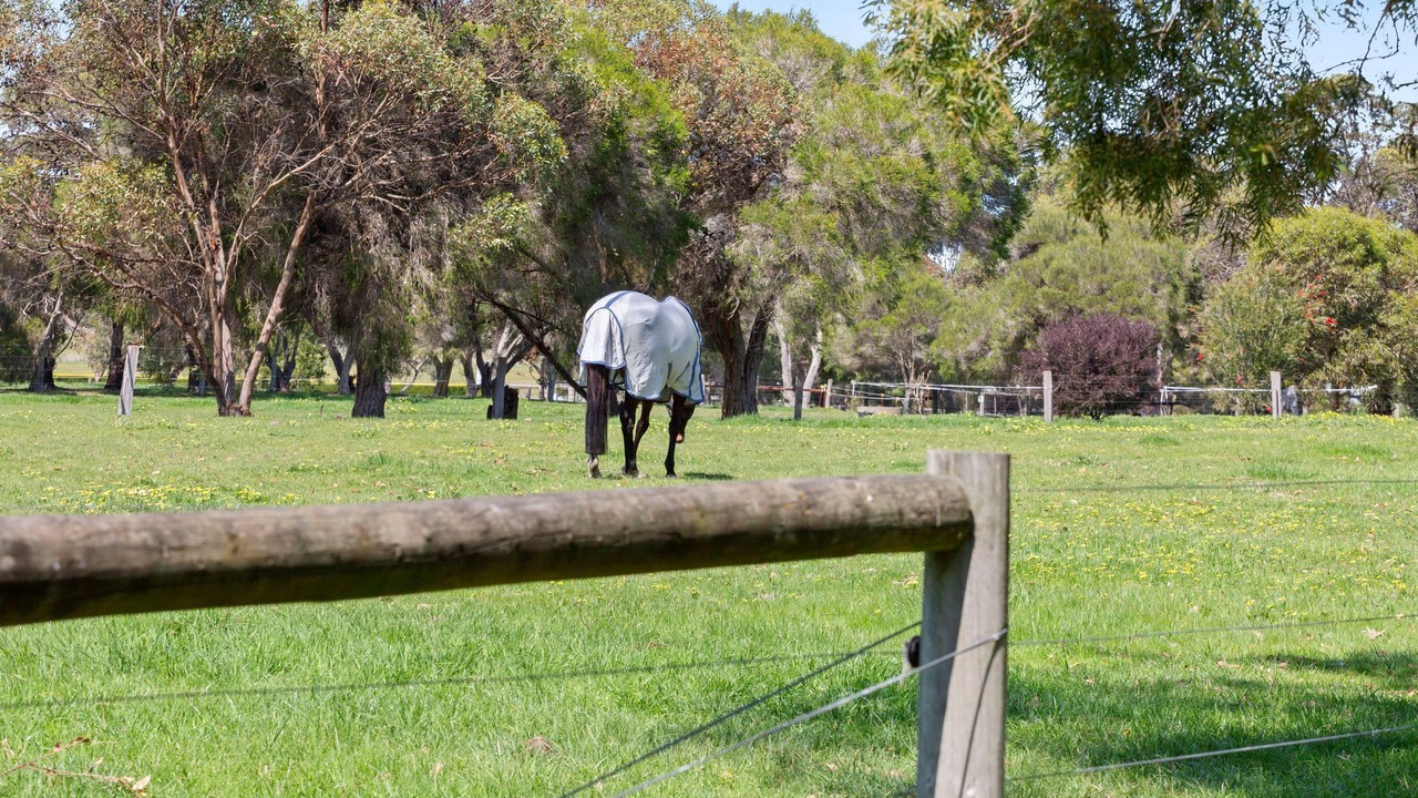 Photo of Others in Balnarring