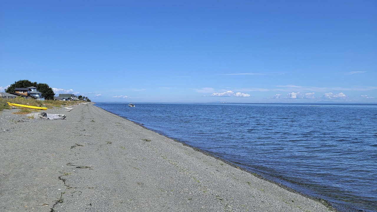 Photo of Others in Sequim