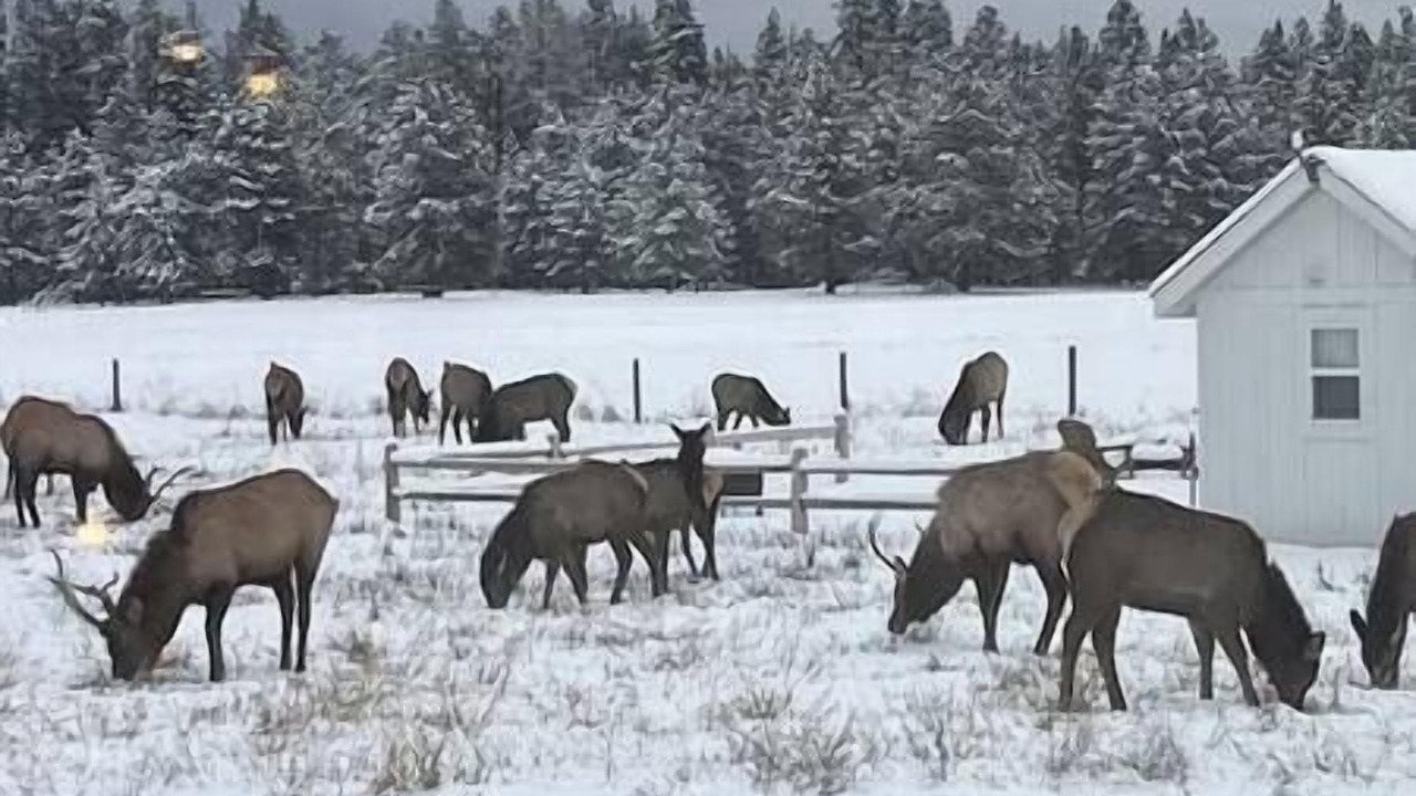 Photo of Others in Columbia Falls