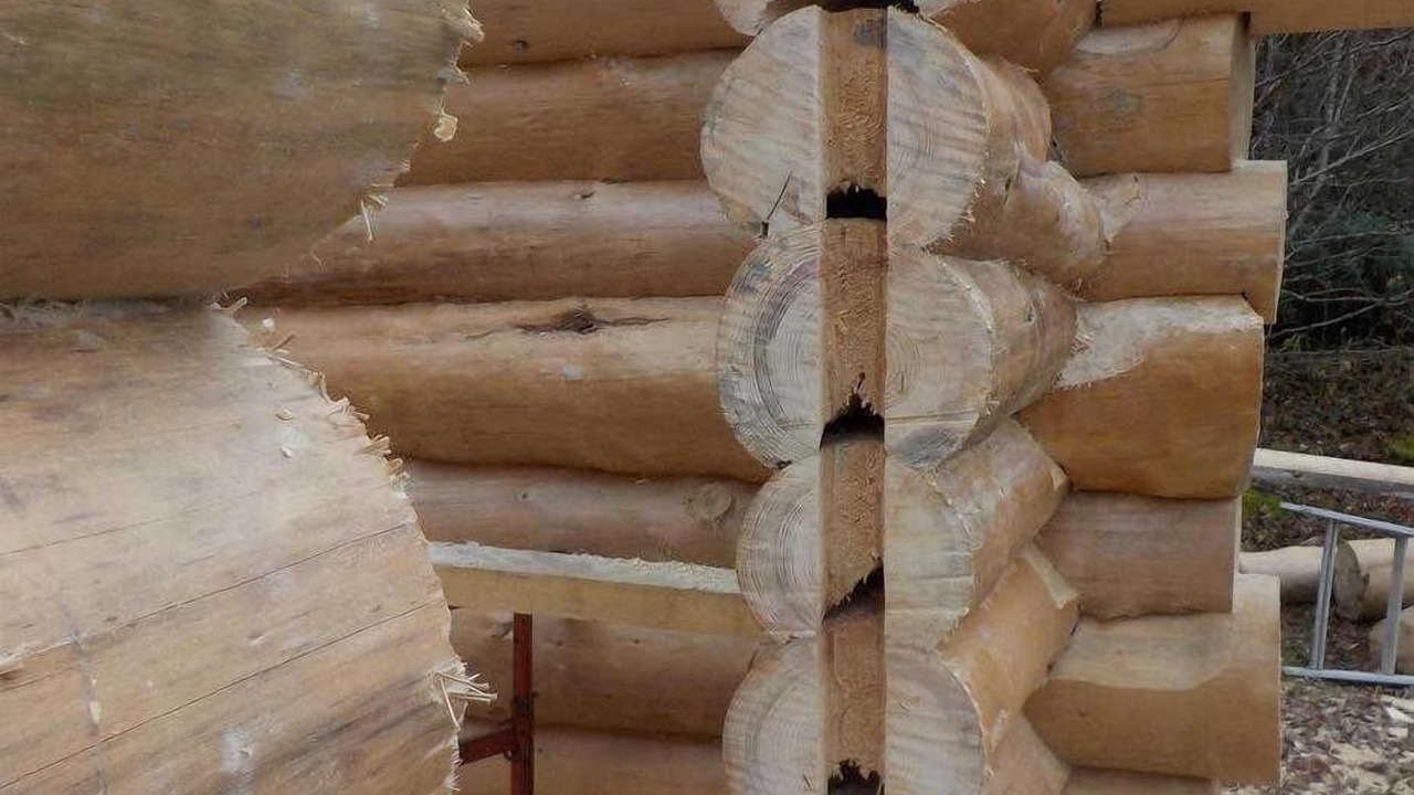 Photo of Others in Malvezie