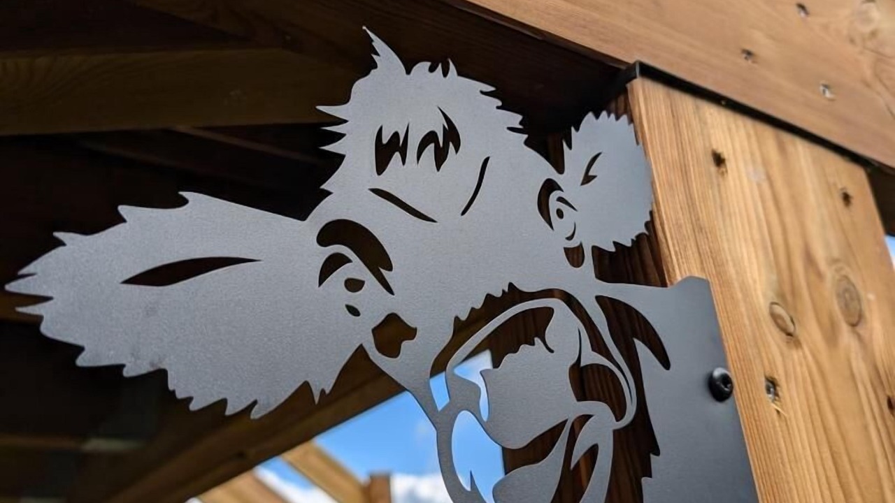 Photo of Outdoor in Thurins